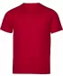 Herren-T-Shirt TEE JAYS | TJ 1150 HRSG