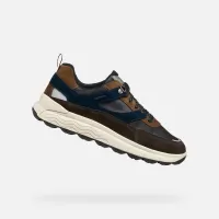 Braun
