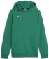 Baby Sweatshirt PUMA TEAMGOAL CASUALS HOODY JR 658619_05 SPORT GREEN/ SPORT GRÜN/PUMA WEIß