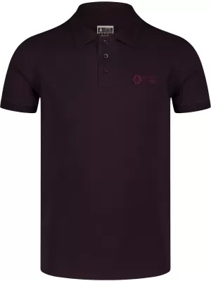 Herren t -Shirt mit einem Kragen NORDBLANC ETERNITY NBSMT8166 BRAUN