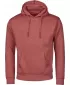 Unisex-Sweatshirt TEE JAYS | TJ 5152 PREISELBEEREN