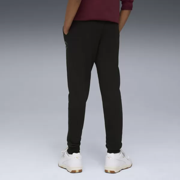  Trainingsanzüge PUMA CLASS SWEATPANTS TR B 68885301 PUMA SCHWARZ 