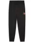 Trainingsanzüge PUMA ACTIVE SPORTS GRAPHIC POLY PANTS B 52769301 PUMA SCHWARZ