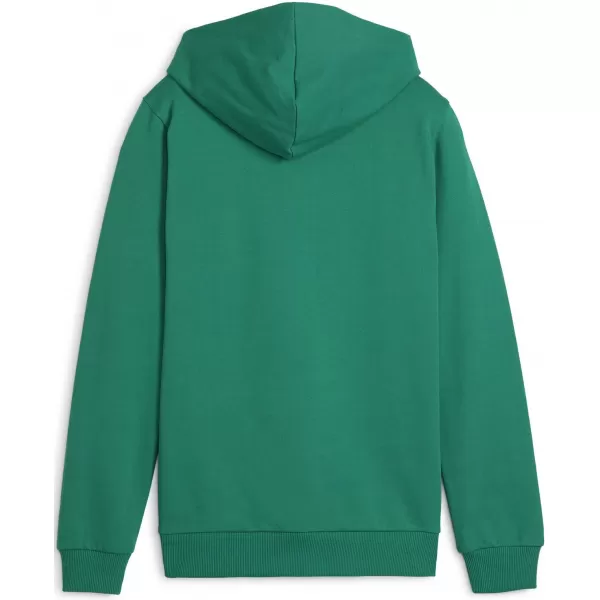  Baby Sweatshirt PUMA TEAMGOAL CASUALS HOODY JR 658619_05 SPORT GREEN/ SPORT GRÜN/PUMA WEIß 