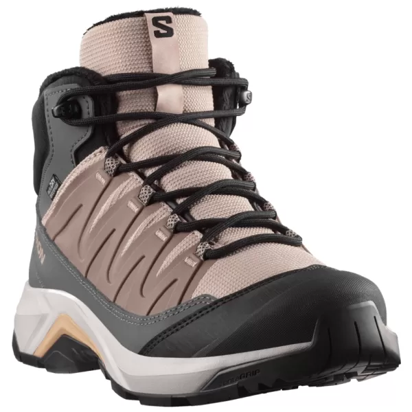  Damenschuhe SALOMON X-ADVENTURE COLDRUSH WATERPROOF W ETHEREA/EISEN/MAHAGONI-ROSE 
