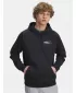 Herren-Sweatshirt UNDER ARMOUR UA RIVAL FLEECE HBR LOGO HD 6003955-001 SCHWARZ