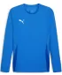 Herren -Trikot PUMA TEAMGOAL LS JERSEY 70575002 E.BLU.LEMON/WHITE/TEAM ROYAL