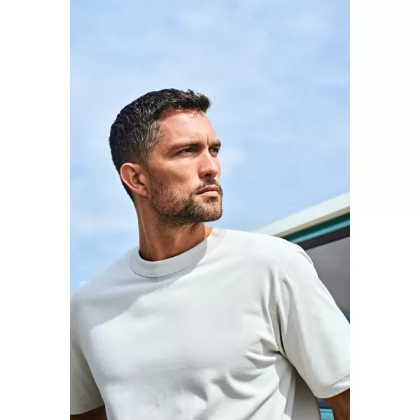  Herren-T-Shirt TEE JAYS | TJ 1160 PUDERGRAU 