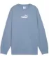 Damen Sweatshirt PUMA ESS NATURE 2 0 OVERSIZED CREW FL 68807834 COOL BLAU