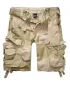 Shorts BRANDIT 2002 OLIVE