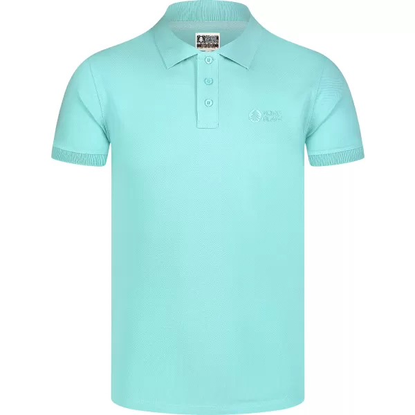  Herren t -Shirt mit einem Kragen NORDBLANC ETERNITY NBSMT8166 HELLBLAU 