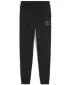 Trainingsanzüge PUMA CLASS SWEATPANTS TR B 68885301 PUMA SCHWARZ