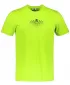 Herren-T-Shirt aus Baumwolle ALTISPORT ALM148129 KALK