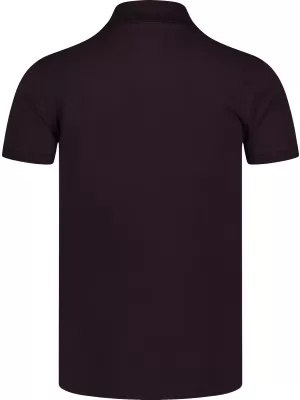Herren t -Shirt mit einem Kragen NORDBLANC ETERNITY NBSMT8166 BRAUN