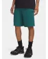 Herrenshorts UNDER ARMOUR UA RIVAL LW SHORTS 6009345-338 GRÜN