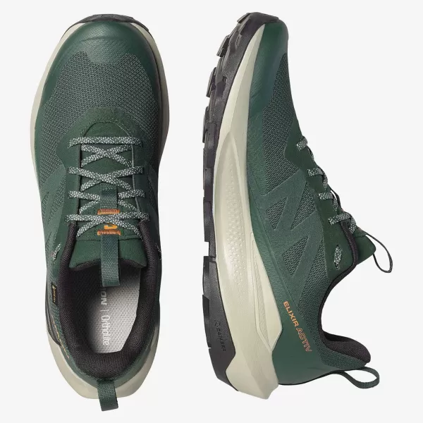  Herrenschuhe SALOMON ELIXIR ACTIV GTX L49229800 SKARABÄUS/GRÜNER GIEBEL/CHILI 