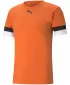 Funktions-T-Shirt für Herren PUMA TEAMRISE JERSEY 704932-08 GOLDENER MOHN/SCHWARZ/WEIß