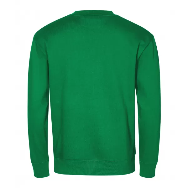  Sweatshirt ALTISPORT NoPrint NP/ALU624 MITTELGRÜN 