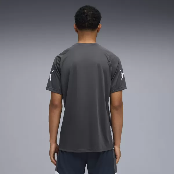  Funktions-T-Shirt für Herren PUMA INDIVIDUALLIGA GRAPH JERSEY 660578_02 MINERAL KOBALT/DAMPFGRAU 