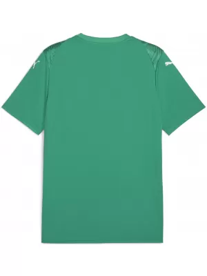 Funktions-T-Shirt für Herren PUMA TEAMULTIMATE JERSEY 706280-05 SPORT GREEN/ SPORTGRÜN/PUMAWEIß