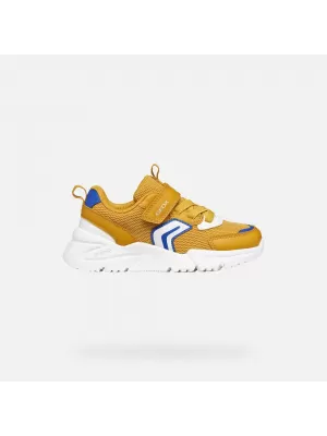 Turnschuhe für Jungen GEOX LOFTUS J55MQB01454C2Q1Z BERNSTEIN