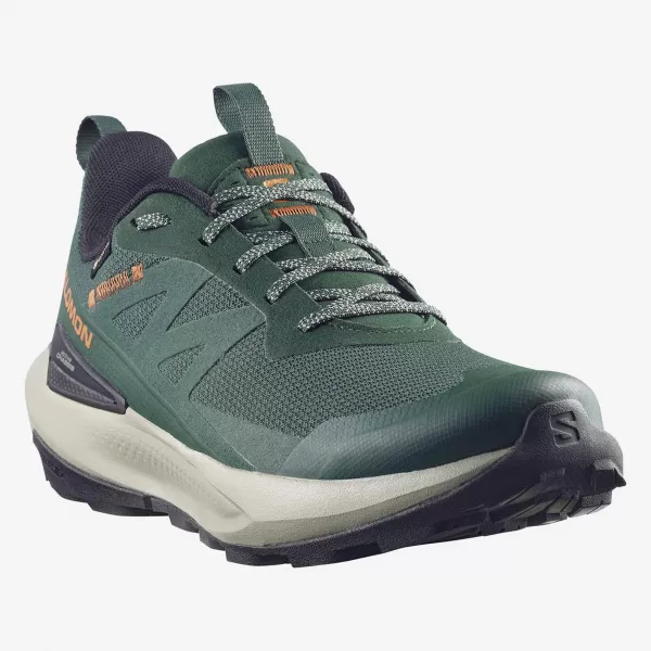  Herrenschuhe SALOMON ELIXIR ACTIV GTX L49229800 SKARABÄUS/GRÜNER GIEBEL/CHILI 