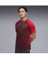 Funktions-T-Shirt für Herren PUMA INDIVIDUALLIGA GRAPH JERSEY 660578_01 PUMA ROT/PUMA WEIß