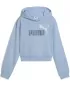 Kinder-Sweatshirt PUMA ESS 2 COLOR LOGO HOODIE 686072-48 HAUTE TROPICAL