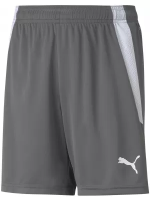 Kindershorts PUMA TEAMLIGA SHORTS JR 704931-13 SMOKED PEARL/ RAUCHPERLE/PUMAWEIß