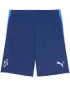 Herrenshorts PUMA NEYMAR JR PLAYMAKER TRGSHORT 660316-10 BLAZING BLUE/ LEUCHTENDES BLAU/PUMA-WEIß/ULTRA