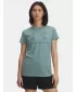 Damen-T-Shirt UNDER ARMOUR UA LOGO SS 1356305-323 GRÜN