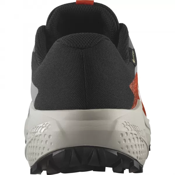  Herrenschuhe SALOMON ALPHAGLIDE GTX L47975300 CASTLEROCK/LUNAR ROCK/KIRSCHTOMATE 