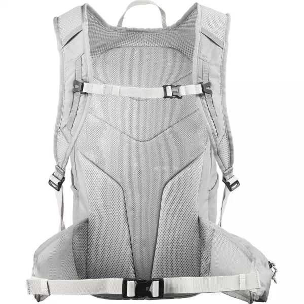  Rucksack SALOMON TRAILBLAZER 20 LC2855700 WOLKENBRUCH/PALOMA/SILBERWOLKE 