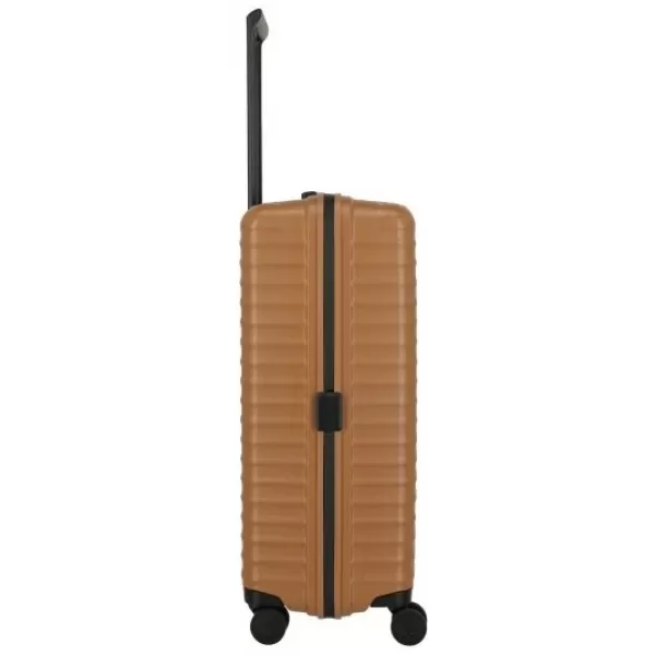  Koffer TITAN Upgrade L CANYON-BRONZE 