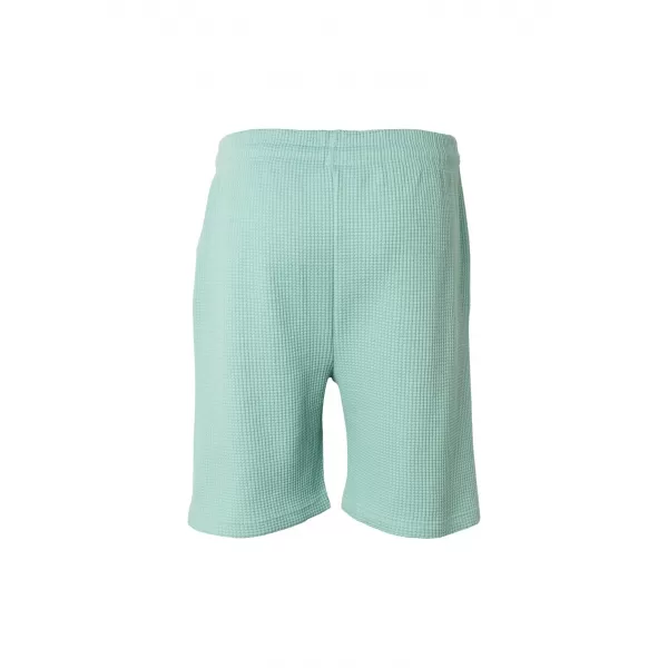  Herrenshorts URBAN CLASSICS TB8206 FROSTMINZE 
