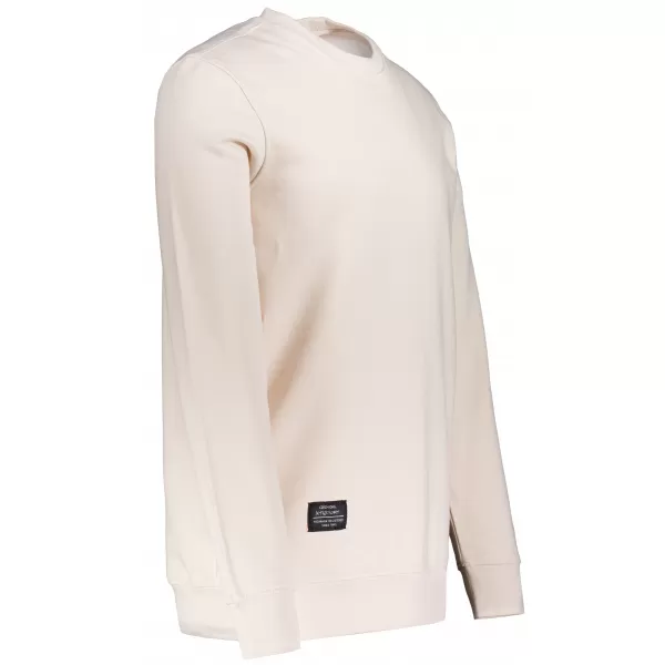  Herren-Sweatshirt ALTISPORT NP/ALMST43001 NATÜRLICH 