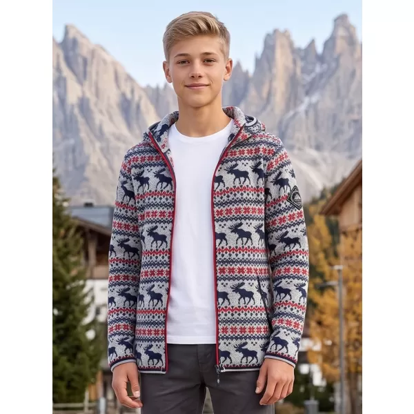  Warmer Kinderpullover ALPINE PRO NORESO HOCHHAUSVARIANTE PB 