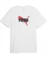 Herren-T-Shirt PUMA GRAPHICS TEE 69435502 PUMA WEIß