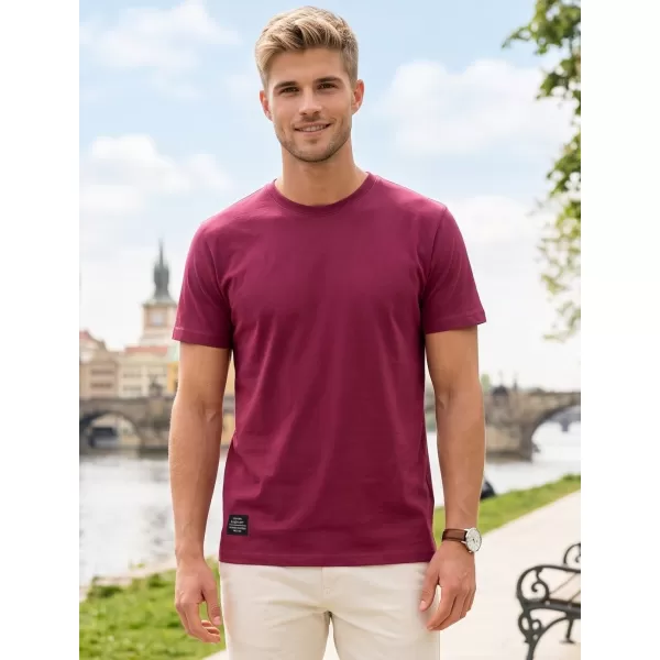  Herren-T-Shirt ALTISPORT NP/ALMST20001 BURGUND 
