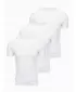 Herren-T-Shirt OMBRE OM-TSBS-0268 WEIß