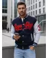 Herren-Sweatshirt DSTREET BX5443 DUNKELBLAU