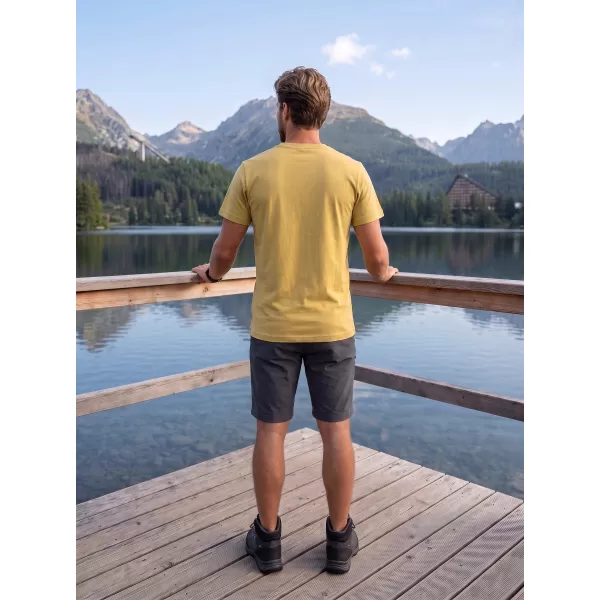  Herren-T-Shirt ALPINE PRO TERMES 4 SOUTHERN MOSS PC-VARIANTE 