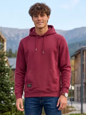 Herren-Sweatshirt ALTISPORT NP/ALMST44001 BURGUND