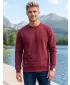 Herren-Sweatshirt ALTISPORT NP/ALMST43001 BURGUND