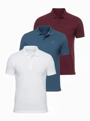 Herren-T-Shirt mit Kragen OMBRE OM-POBS-0171 WEIß/KASTANIENBRAUN/DUNKELBLAU