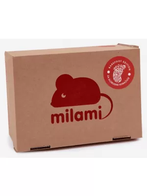 Kinderhausschuhe MILAMI BF10/BR-32 GRAU