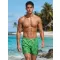 Herrenshorts DSTREET SX2589 GRÜN