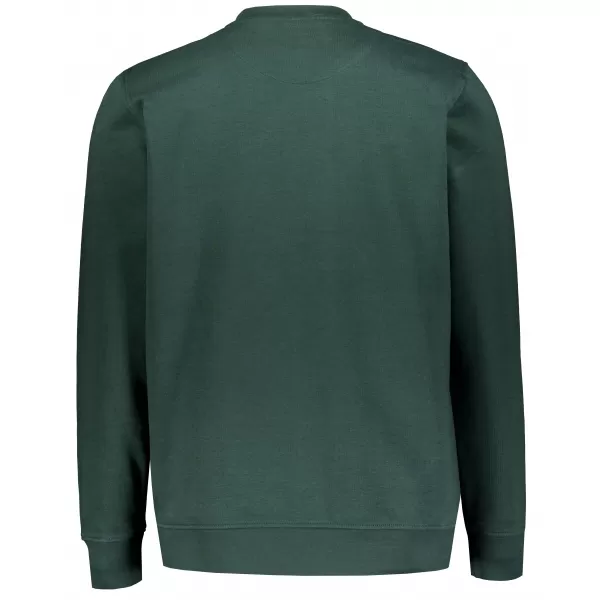  Herren-Sweatshirt ALTISPORT NP/ALMST43001 FLASCHENGRÜN 