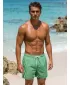 Herrenshorts DSTREET SX2599 GRÜN