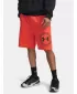 Herrenshorts UNDER ARMOUR RIVAL LW GRAPHIC SHORTS 6014689-690 ROT